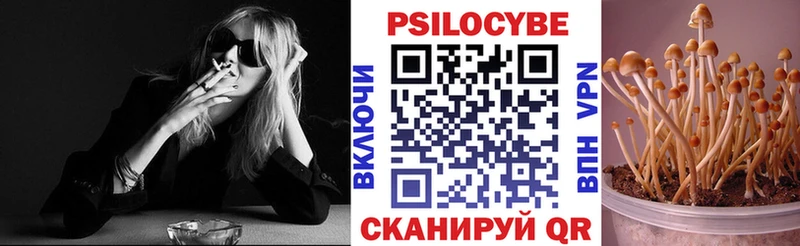 Галлюциногенные грибы Cubensis  где можно купить наркотик  Бакал 